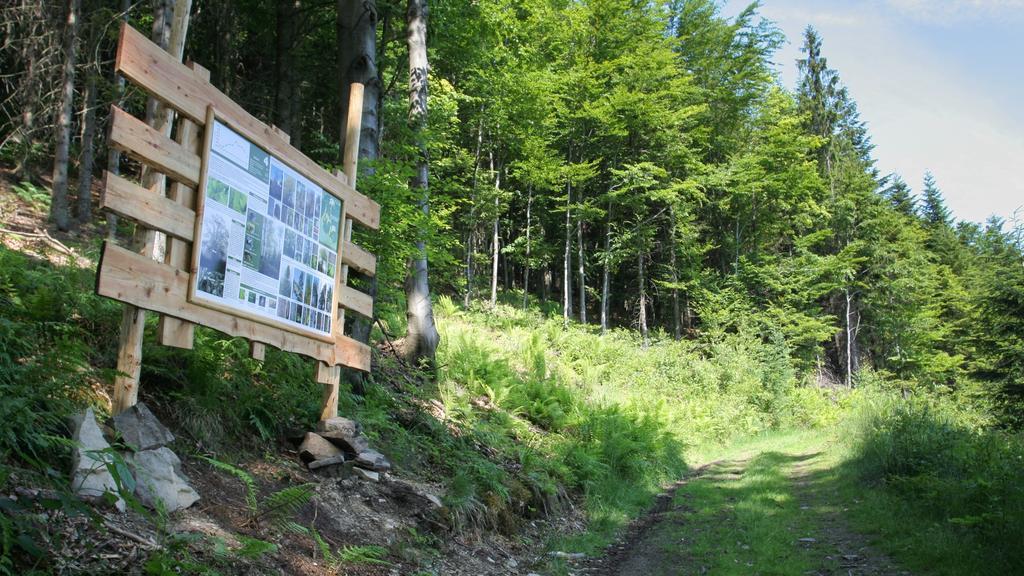 Pokoje W Oberzy Czarny Gron Rzyki Exterior foto